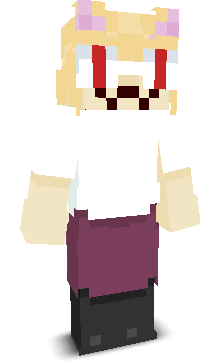 User's Minecraft appearance