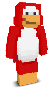 User's Minecraft appearance