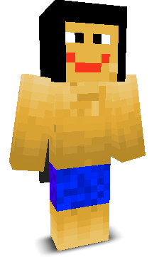 User's Minecraft appearance