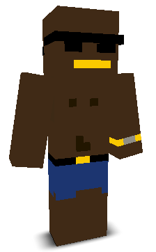 User's Minecraft appearance