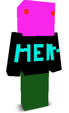 User's Minecraft appearance