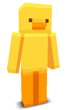 User's Minecraft appearance