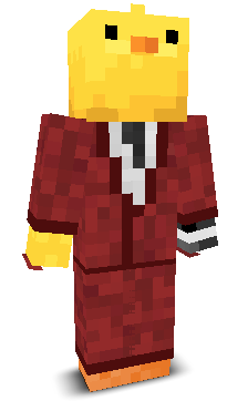 User's Minecraft appearance
