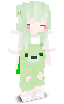 User's Minecraft appearance