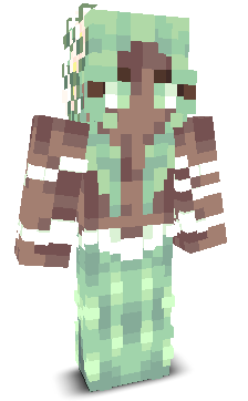 User's Minecraft appearance
