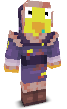 User's Minecraft appearance