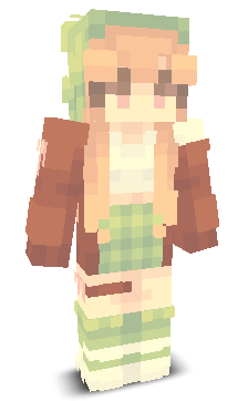 User's Minecraft appearance