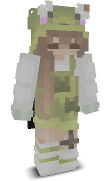 User's Minecraft appearance