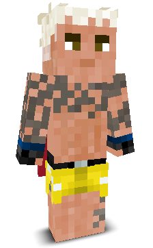 User's Minecraft appearance