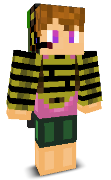 User's Minecraft appearance