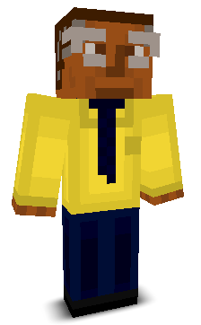 User's Minecraft appearance