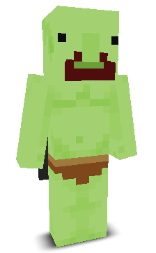 User's Minecraft appearance