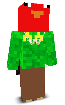 User's Minecraft appearance