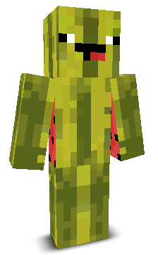 User's Minecraft appearance