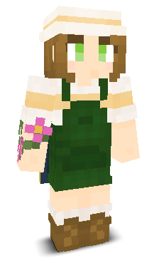 User's Minecraft appearance