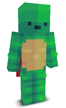 User's Minecraft appearance