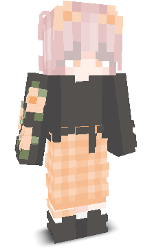 User's Minecraft appearance
