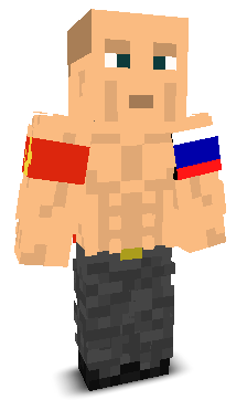 User's Minecraft appearance