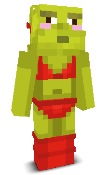 User's Minecraft appearance
