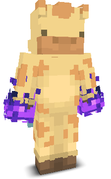 User's Minecraft appearance