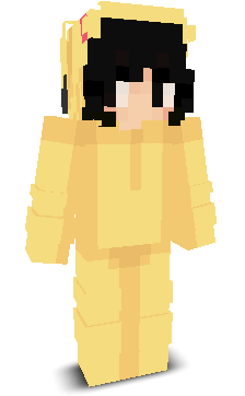 User's Minecraft appearance