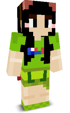 User's Minecraft appearance
