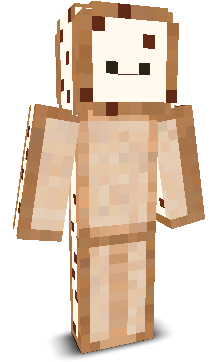 User's Minecraft appearance