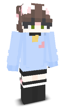 User's Minecraft appearance