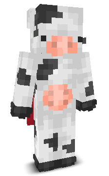 User's Minecraft appearance