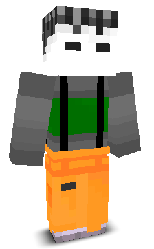 User's Minecraft appearance