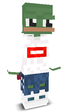 User's Minecraft appearance