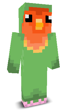 User's Minecraft appearance