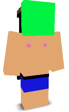 User's Minecraft appearance