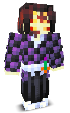 User's Minecraft appearance