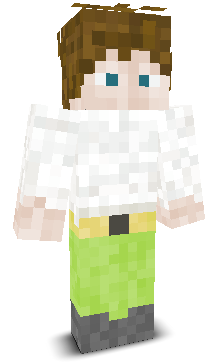 User's Minecraft appearance