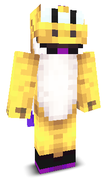 User's Minecraft appearance