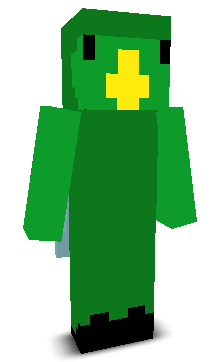 User's Minecraft appearance
