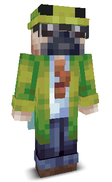 User's Minecraft appearance