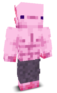 User's Minecraft appearance