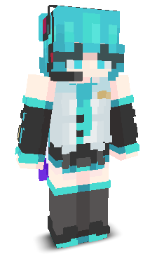 User's Minecraft appearance