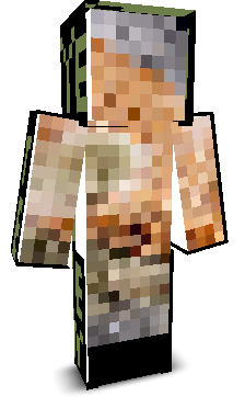 User's Minecraft appearance
