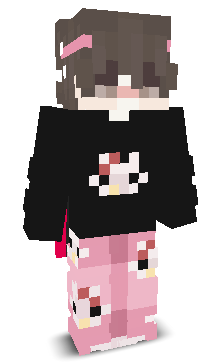 User's Minecraft appearance