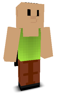 User's Minecraft appearance