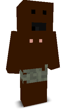 User's Minecraft appearance
