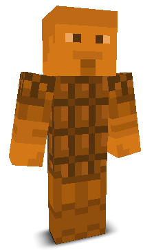 User's Minecraft appearance