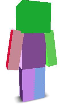 User's Minecraft appearance