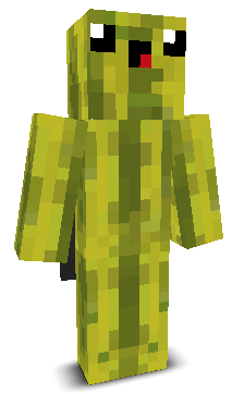 User's Minecraft appearance
