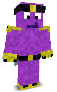 User's Minecraft appearance