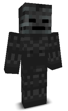 Skin gracza Rocau