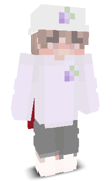 User's Minecraft appearance
